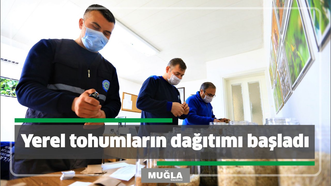 Yerel tohumların dağıtımı başladı
