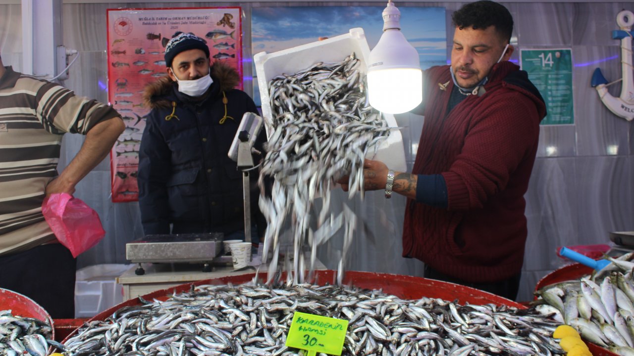 Yasağın ardından hamsiye yoğun ilgi