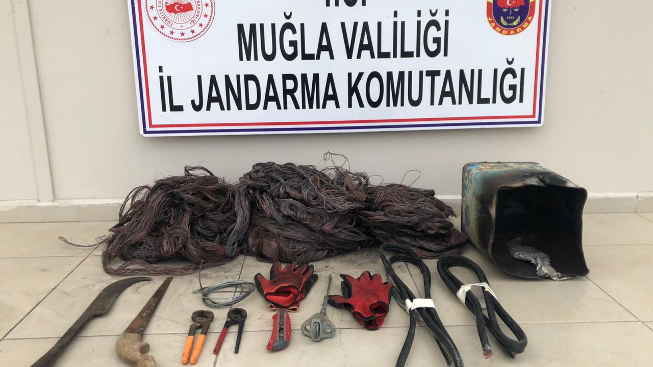 Kablo hırsızlığı operasyonunda 1 şüpheli yakalandı