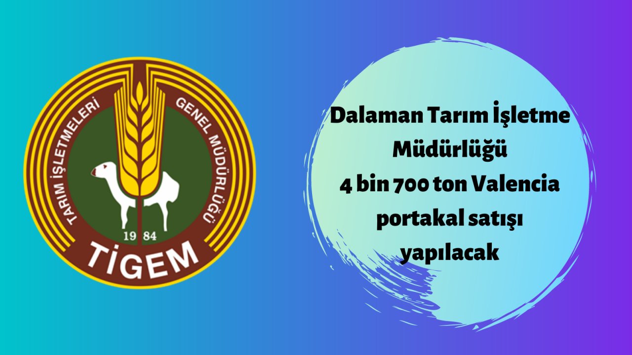 4 bin 700 ton Valencia portakal satışı yapılacak