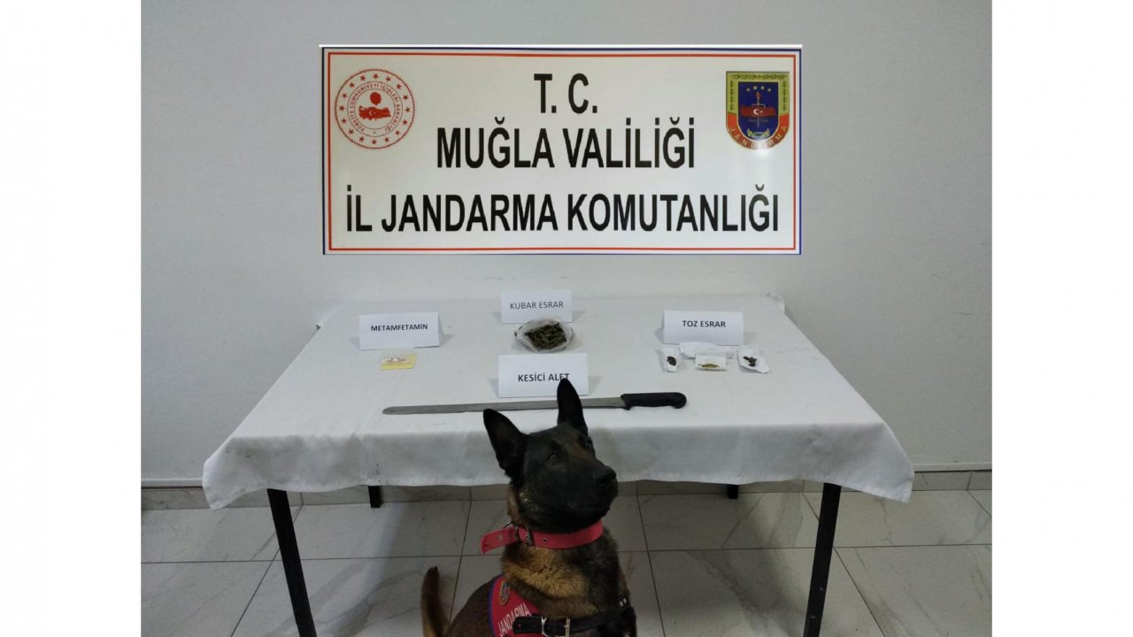 Uyuşturucu operasyonunda 12 şahıs gözaltına alındı