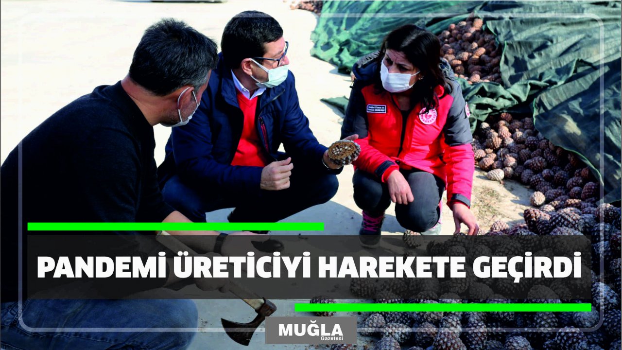 PANDEMİ ÜRETİCİYİ HAREKETE GEÇİRDİ