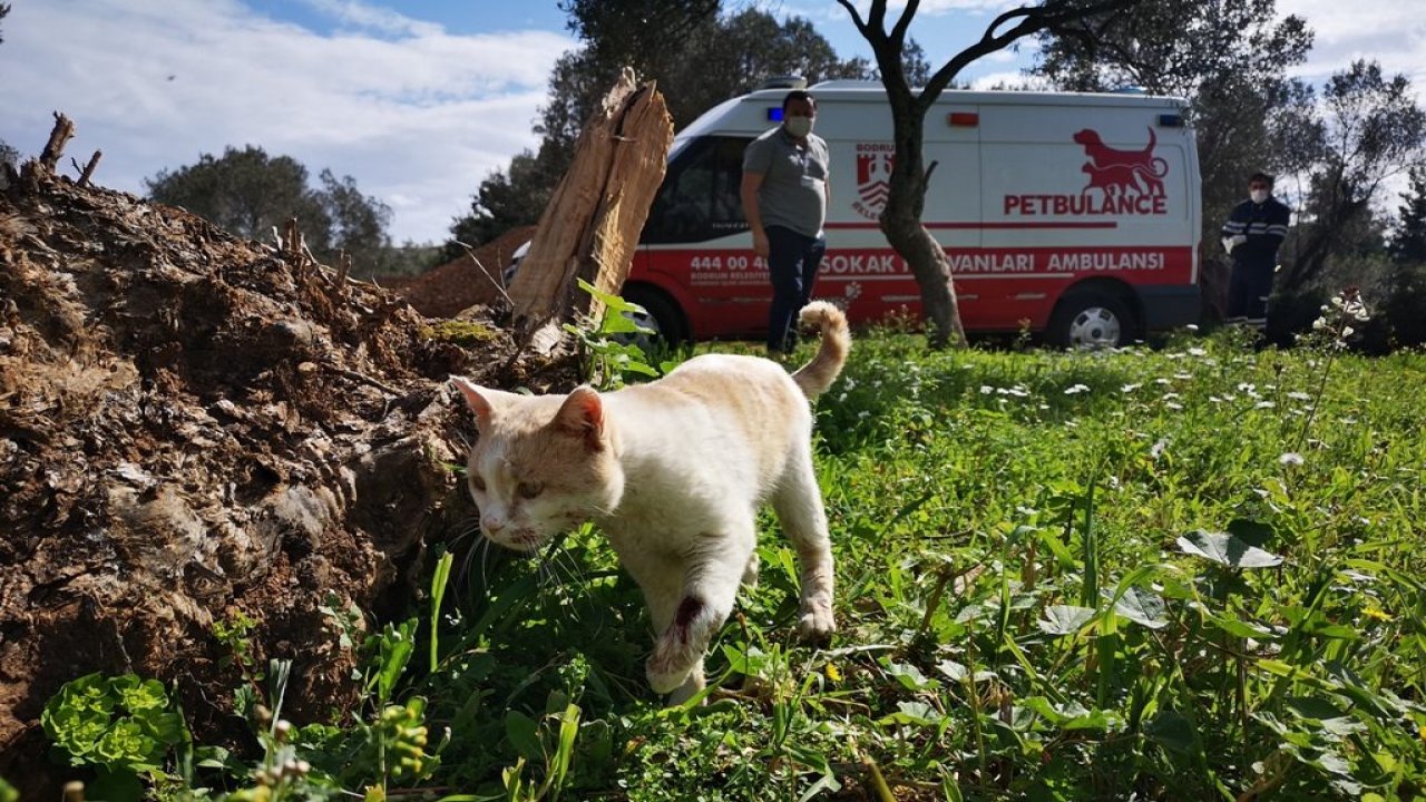 500 günde 5 bin vakaya müdahale edildi
