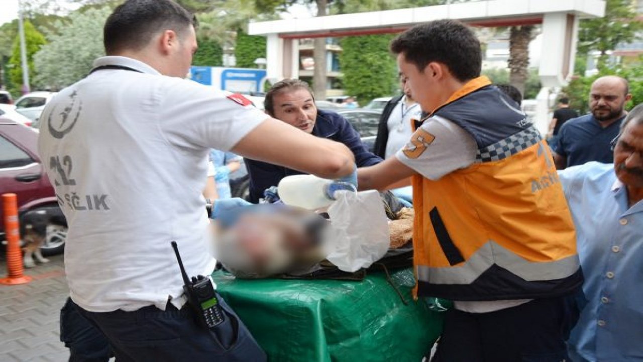 Milas’ta yıldırım can aldı