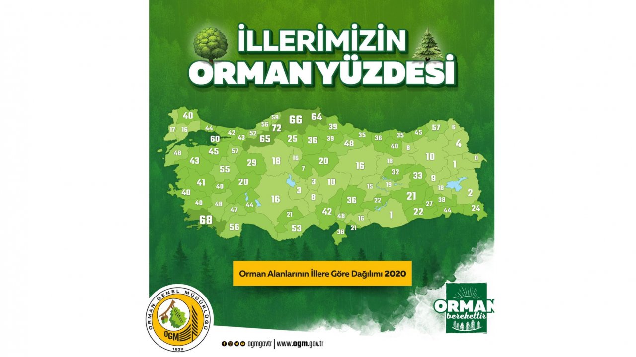 Muğla ormanlık alan haritasında ikinci sırada