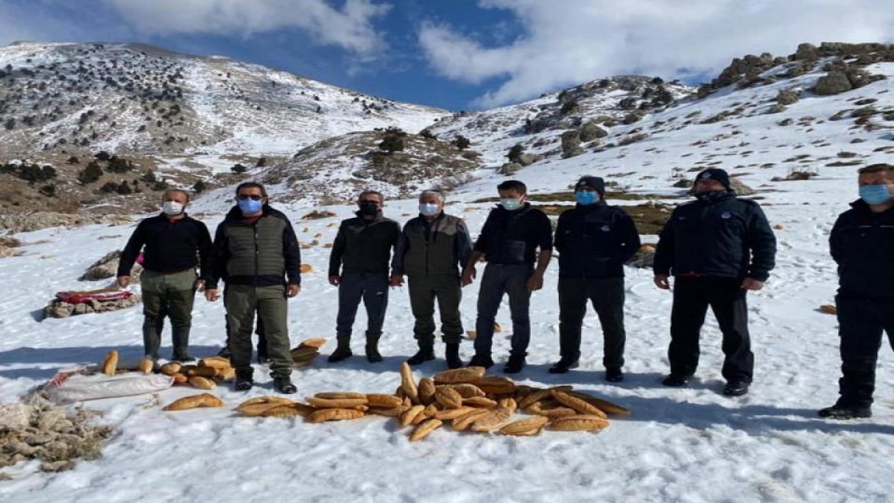 Yaban hayatına destek verdiler