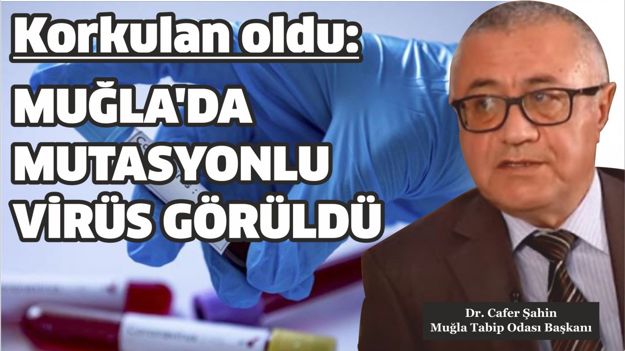 Korkulan oldu:  Muğla’da mutasyonlu virüs görüldü