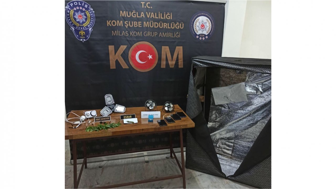 Usulsuzluk yapanlar gözaltına alındı