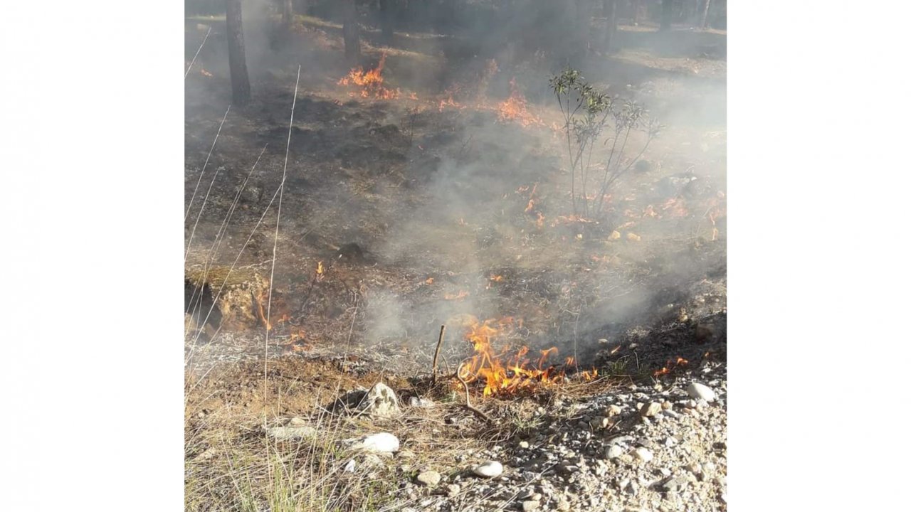 Muğla'da ormanlık alanda çıkan yangın söndürüldü