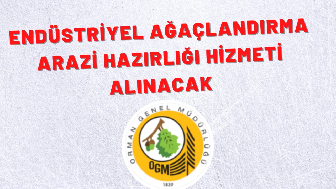 Endüstriyel ağaçlandırma arazi hazırlığı hizmeti alınacak