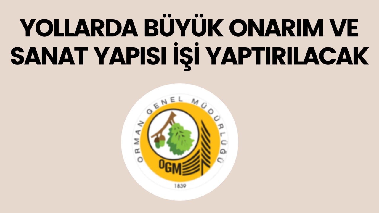 Yollarda büyük onarım ve sanat yapısı işi yaptırılacak