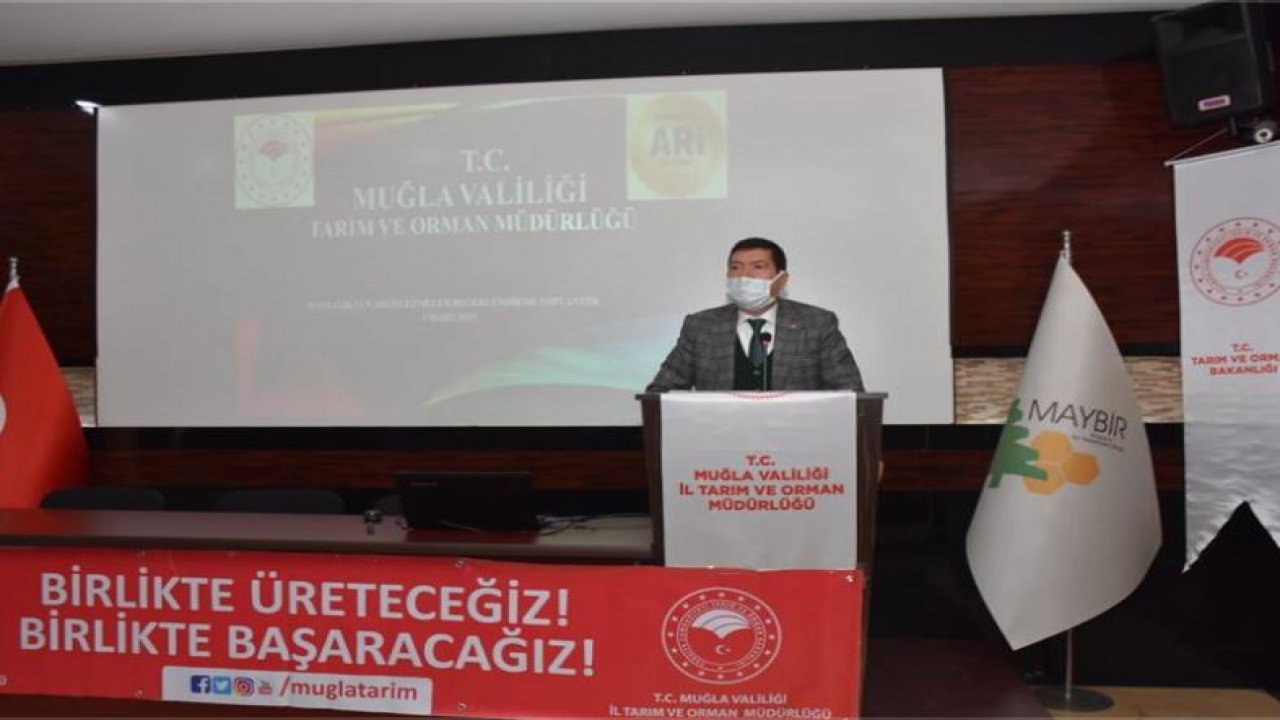 Barış Saylak, “Hedefimiz 30 bin hayvan varlığına arilik kazandırmak”