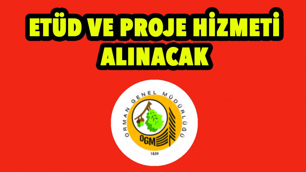 Etüd ve proje hizmeti alınacak