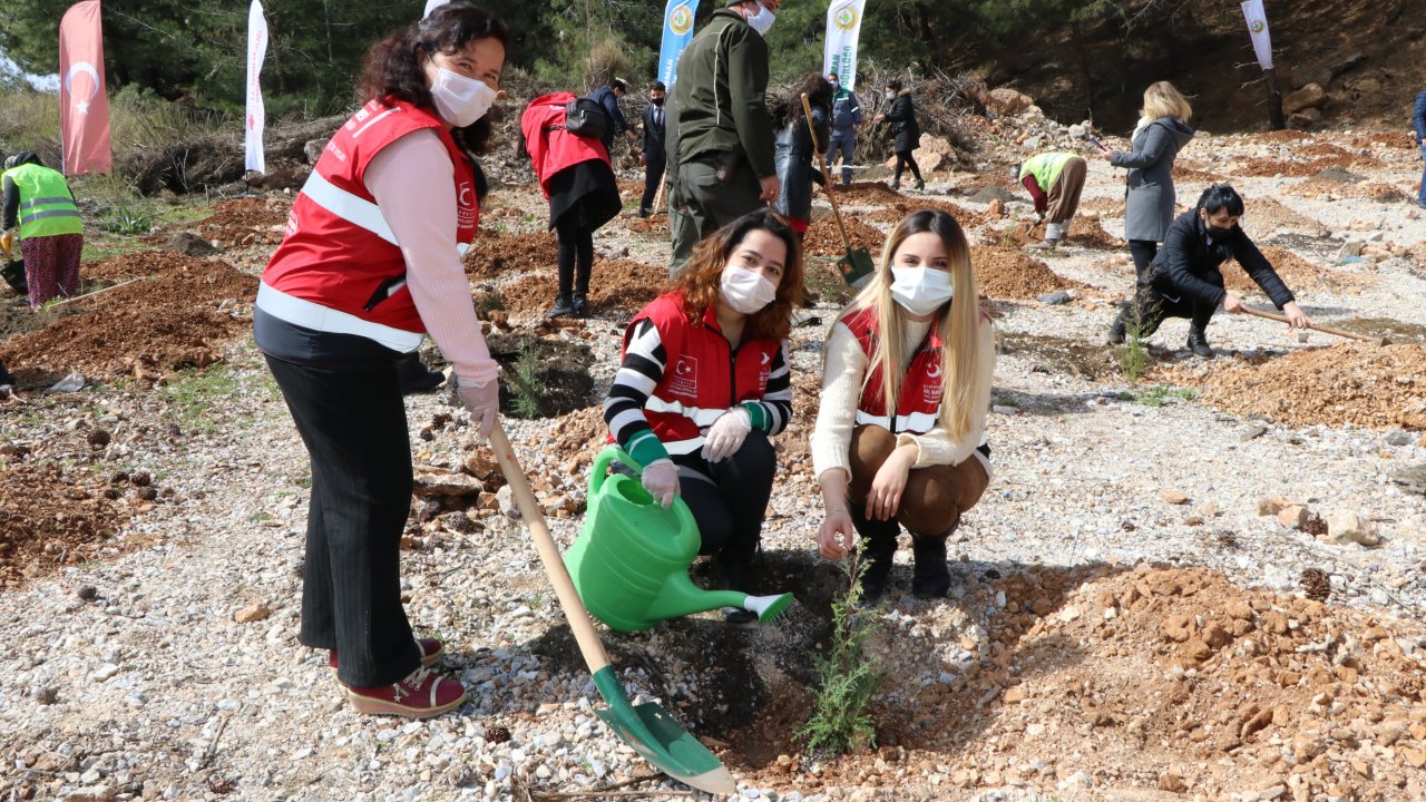 Mercan Hatıra Ormanı oluşturuldu