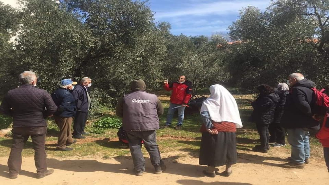 Üreticilere budama eğitimi verildi