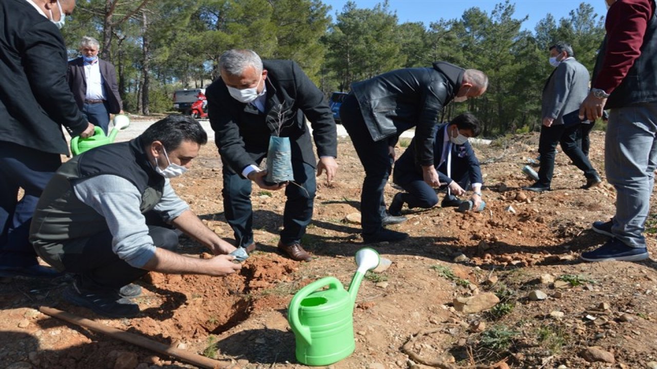 Kavaklıdere’de Bak, Gör, Tat Hünnap Projesi uygulandı
