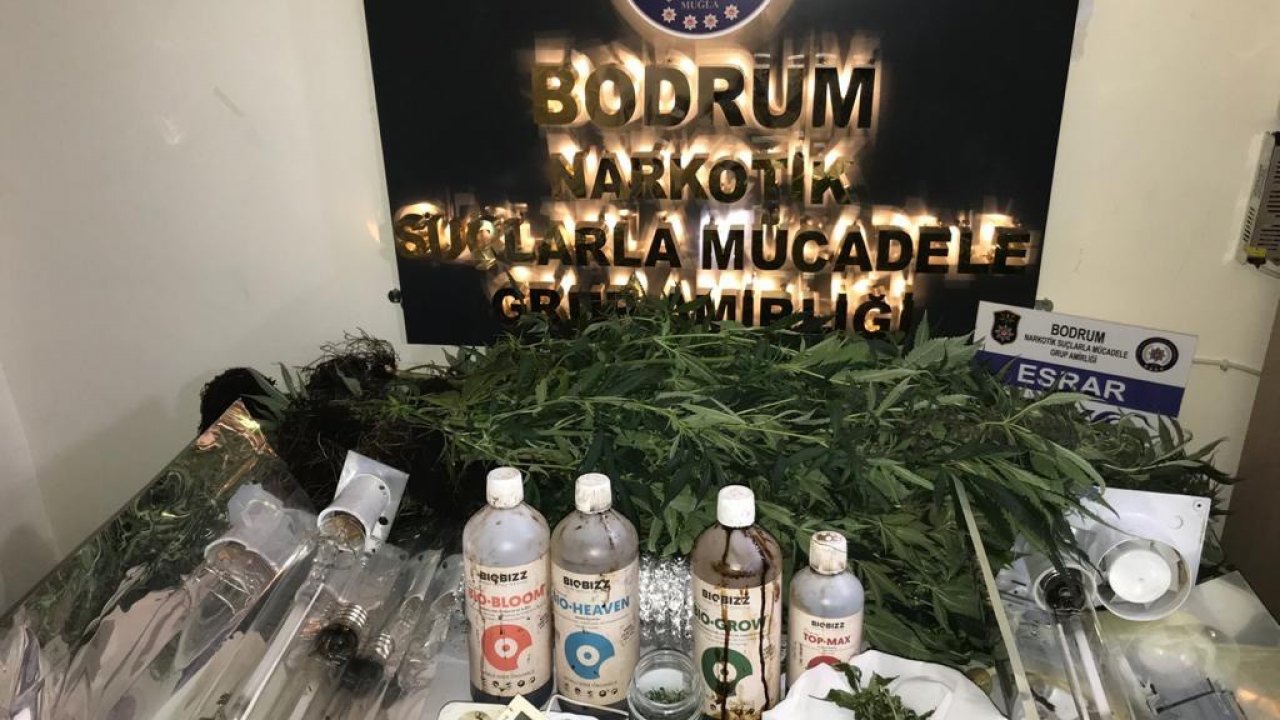 Uyuşturucu operasyonunda 2 şüpheliye gözaltı