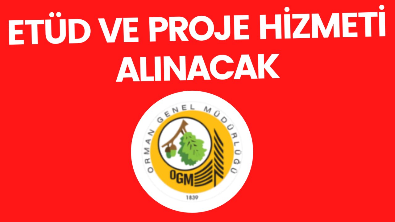 Etüd ve proje hizmeti alınacak