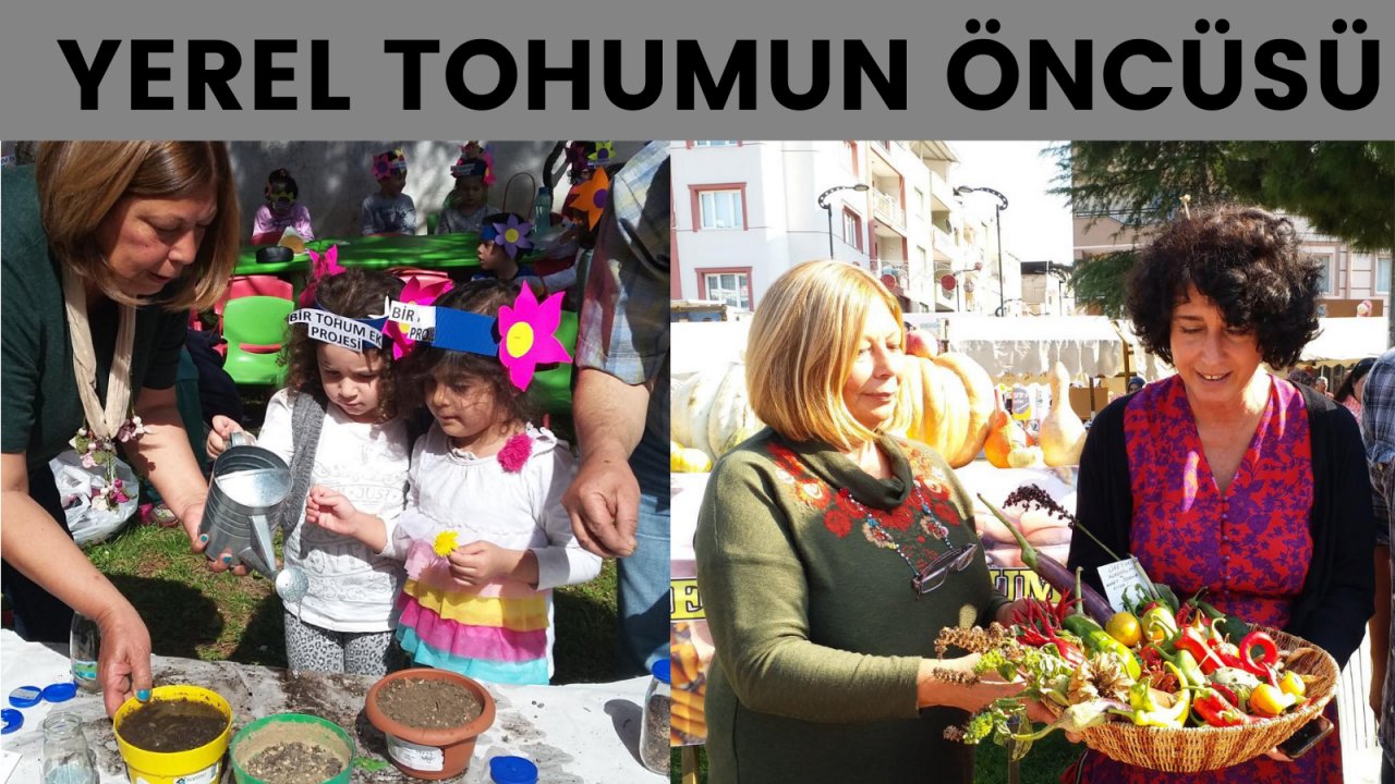 Yerel tohumun öncüsü