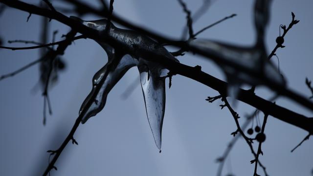 Meteoroloji’den ziraai don uyarısı