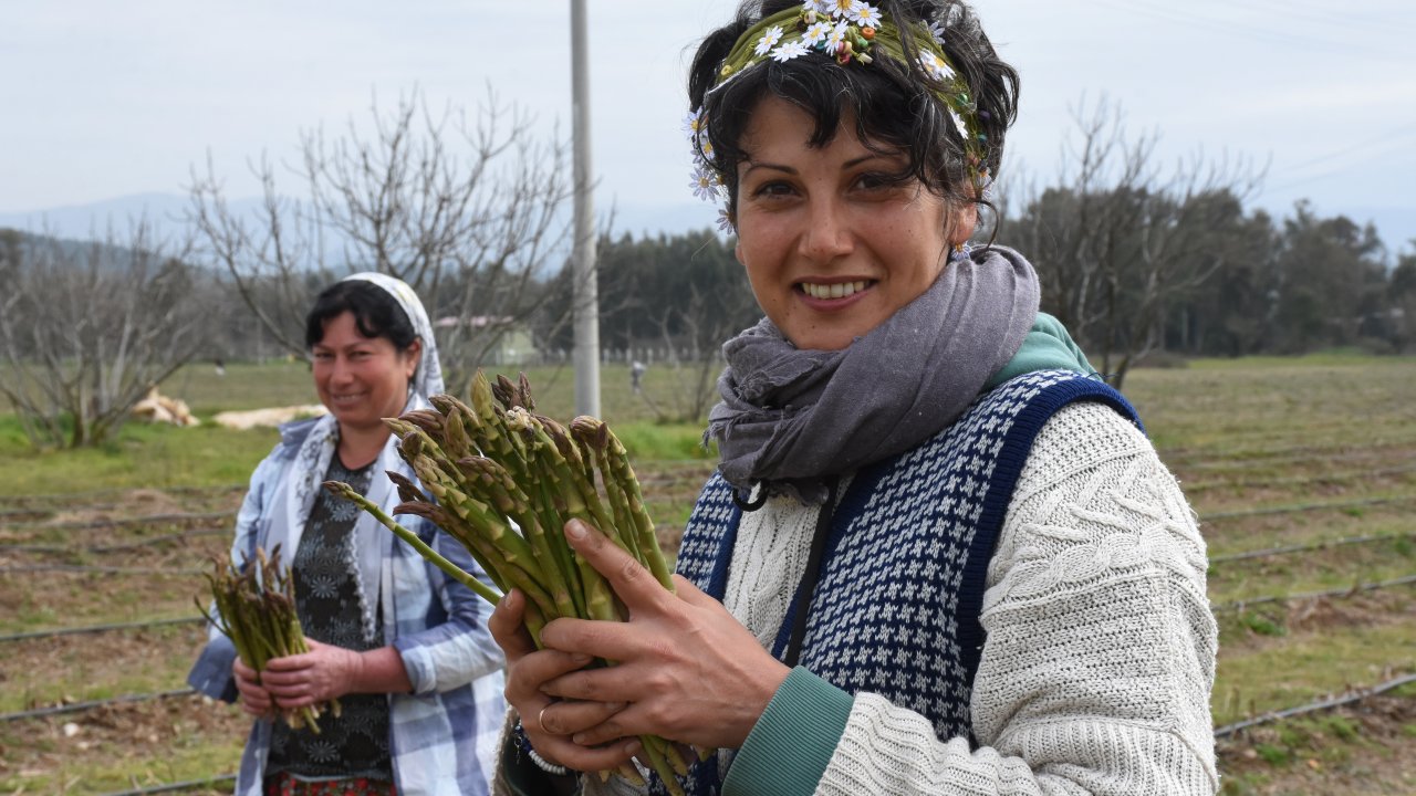 ODTÜ'lü Aslı'nın 