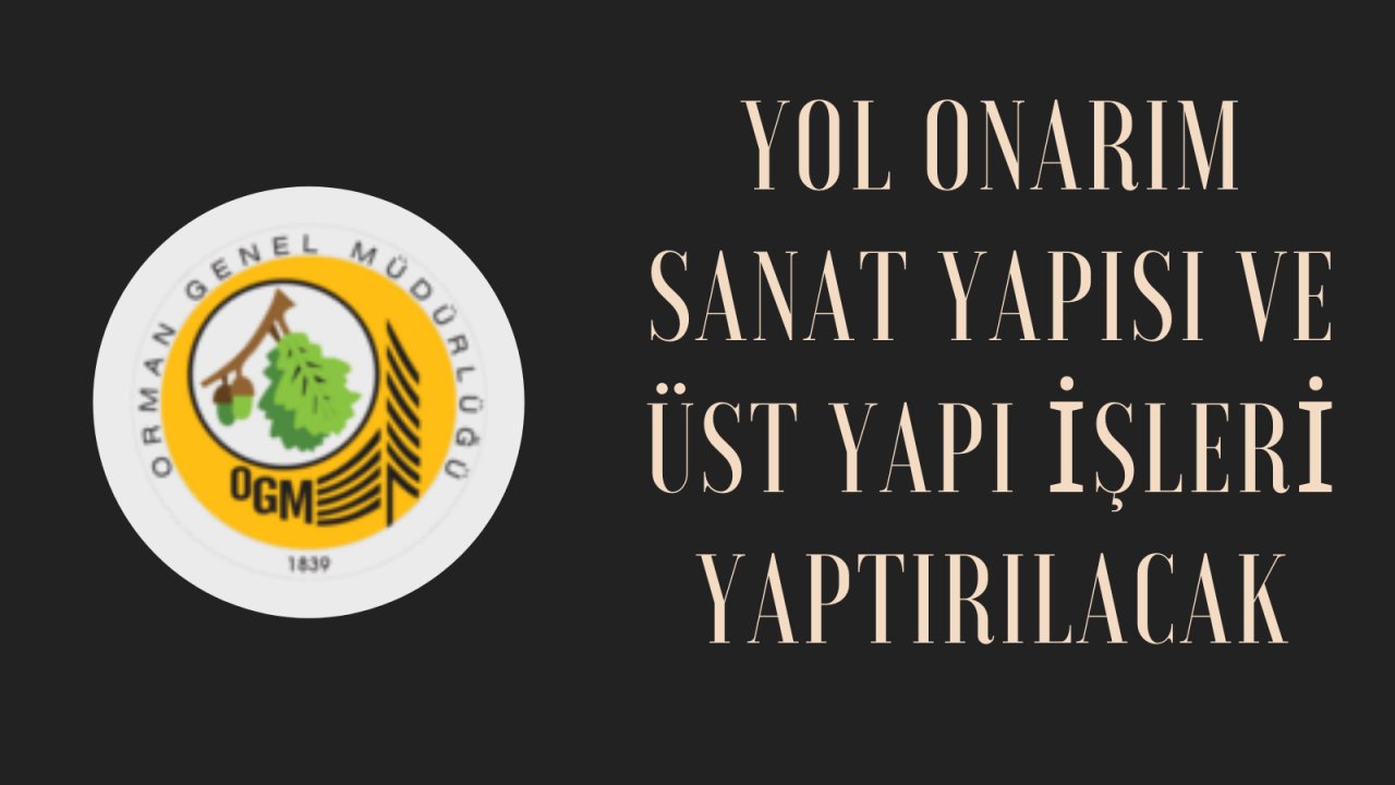 Yol onarım sanat yapısı ve üst yapı işleri yaptırılacak