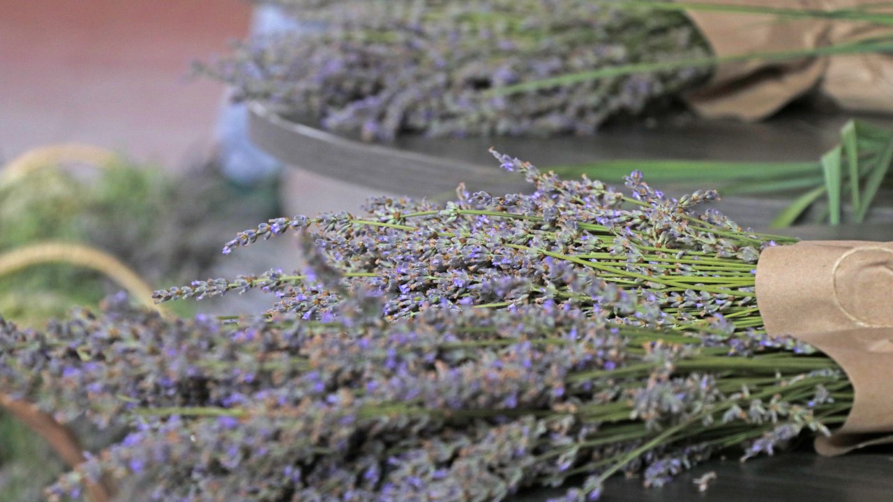 Bilinçli tarımla üretilen tıbbi ve aromatik bitkiler çiftçiye gelir sağlayacak