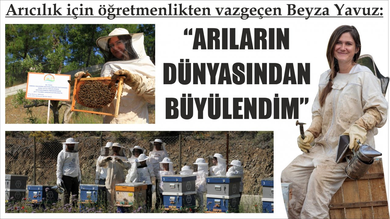 Arıcılık için öğretmenlikten vazgeçen Beyza Yavuz:  “Arıların dünyasından büyülendim”