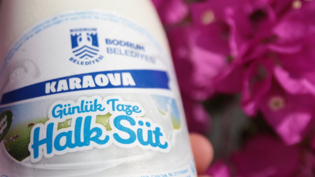 Halk Süt tekrar çocuklarla buluşuyor