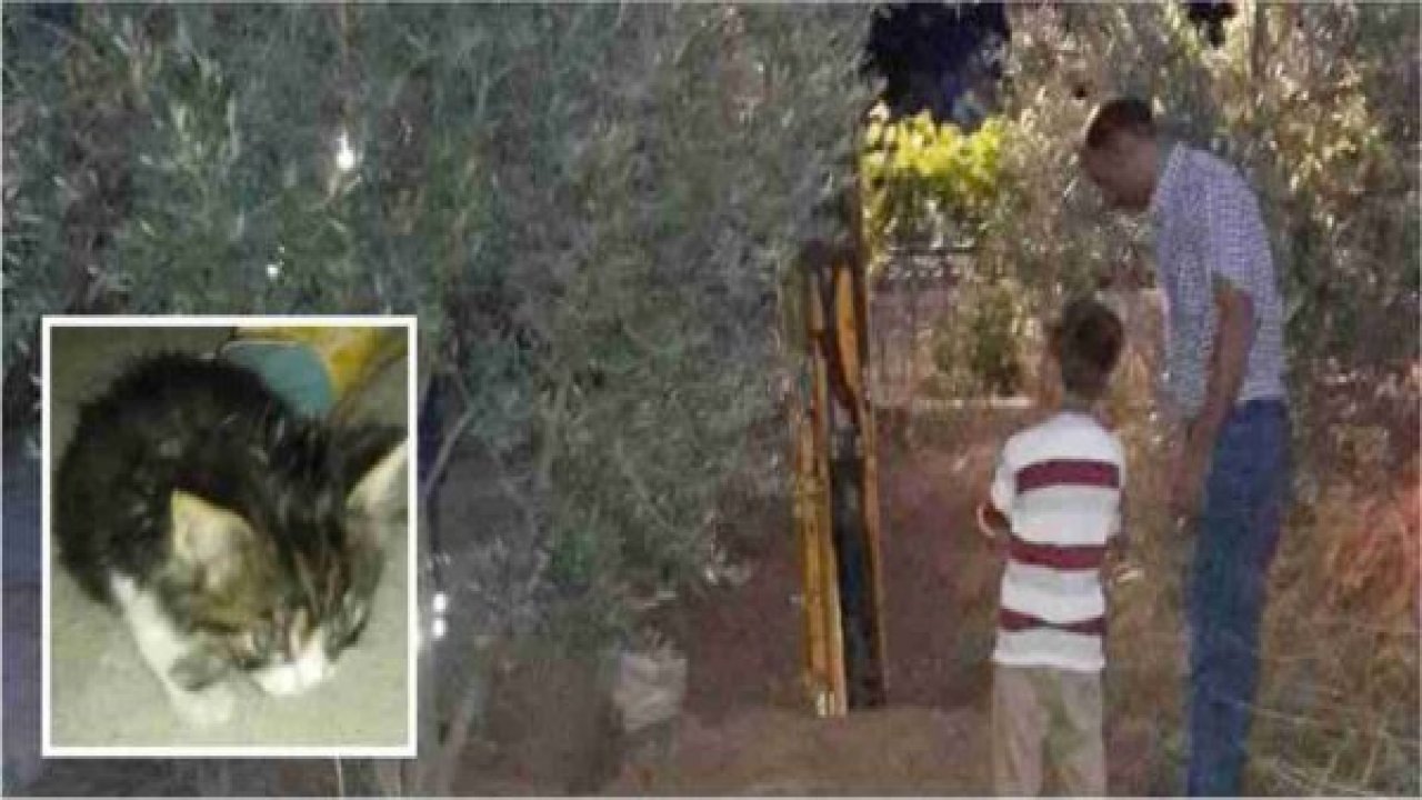 Mahsur kedi için 3 saatlik operasyon