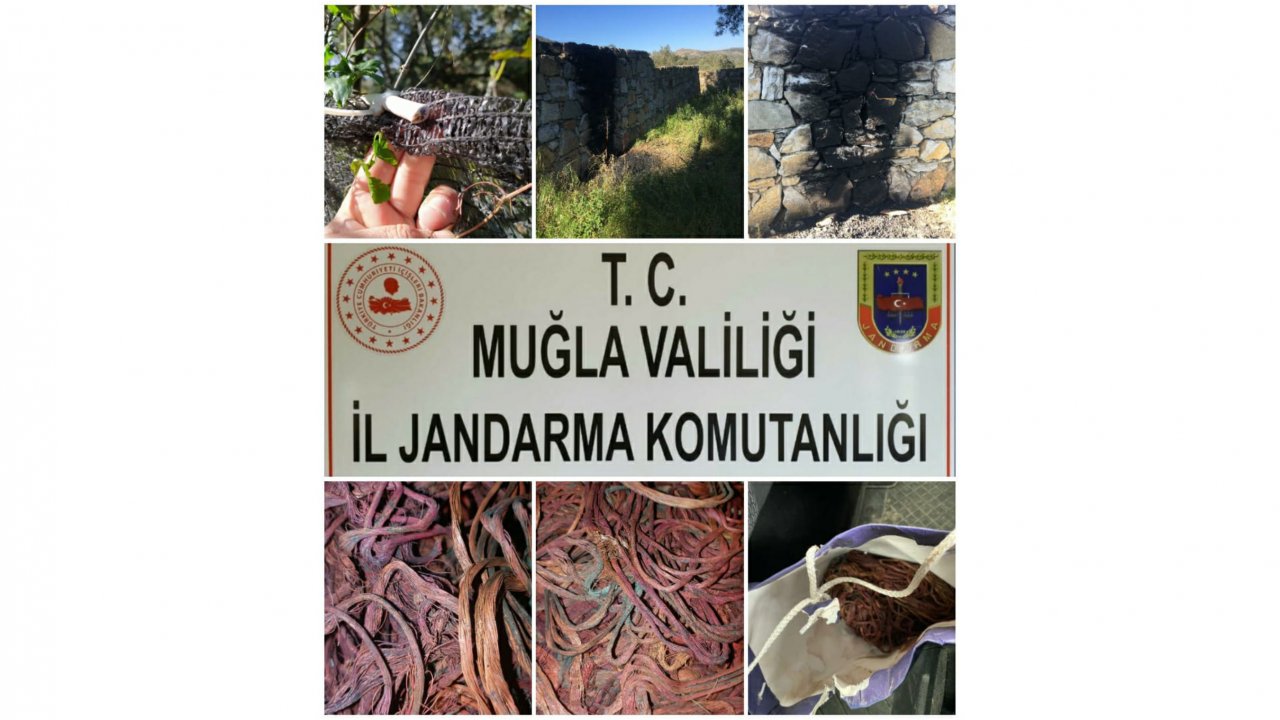 Elektrik kablolarını çalan şüpheli yakalandı