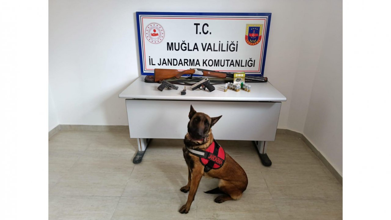 Ruhsatsız tabanca kullanan şahısa gözaltı