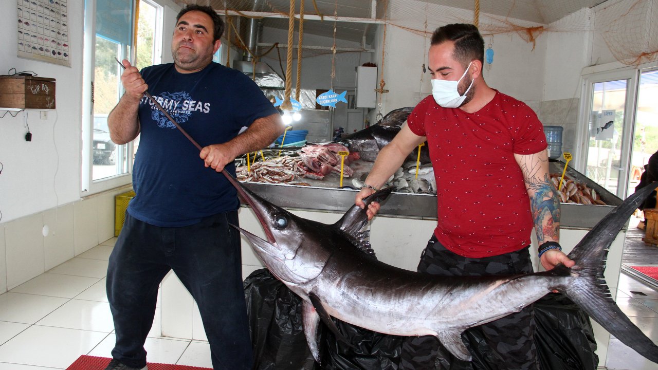 Fethiye açıklarında 80 ve 100 kilogramlık 2 kılıçbalığı oltayla yakalandı