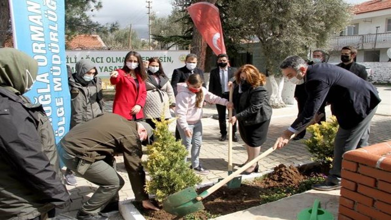 Fidan dikimi gerçekleştirildi