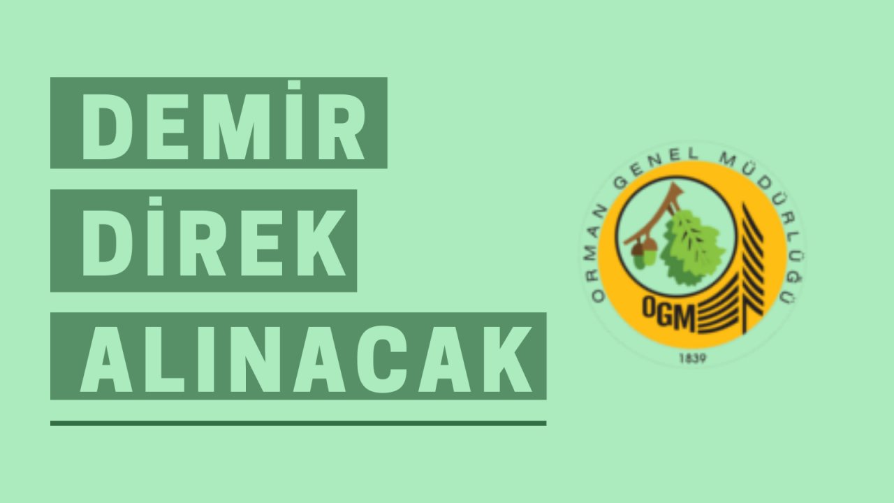 Demir direk alınacak