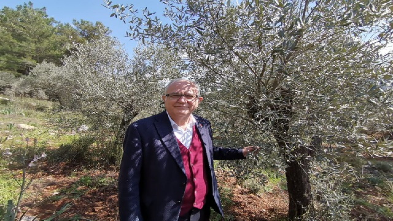 Adem Zeybekoğlu’ndan zeytinyağı ihracatının yasaklanmasına tepki