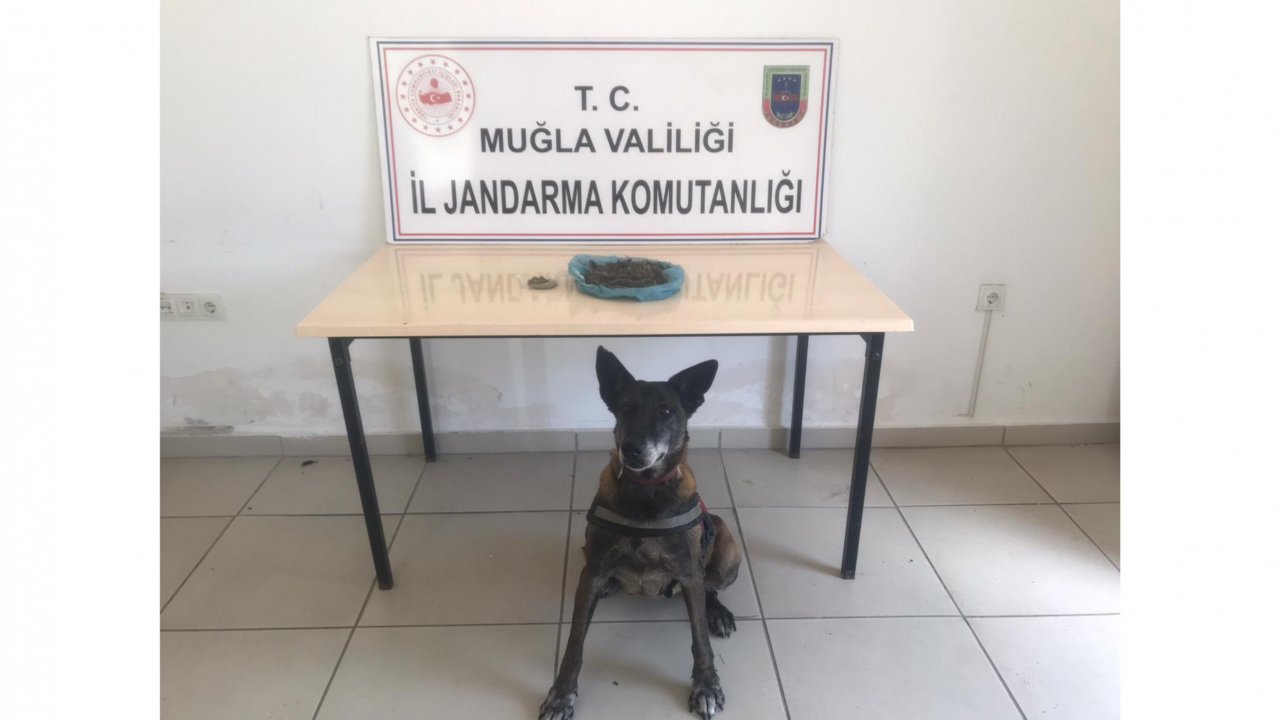 Uyuşturucu ele geçirildi