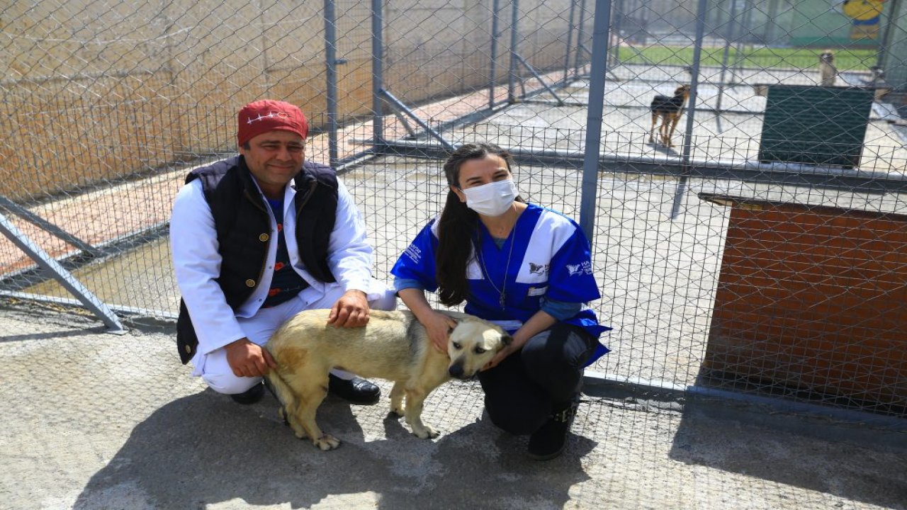 Mucizenin adı “Öznur