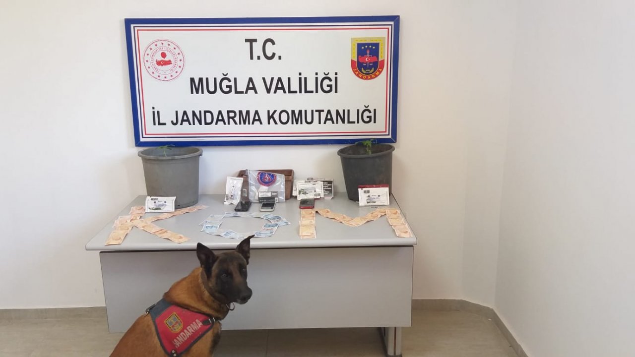 4 farklı adreste eş zamanlı arama