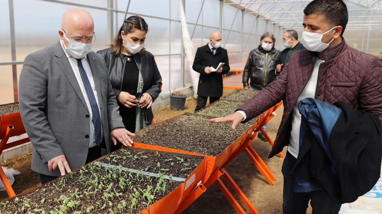 “Kendi seramızda yaklaşık 3’te biri fiyatına üretiyoruz”