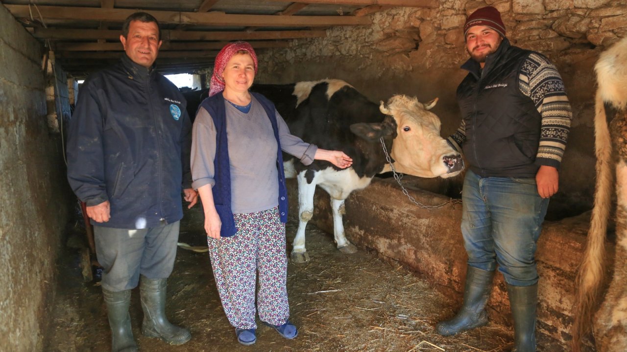 Üreticilerin kaderi Süt Birliği ile değişti