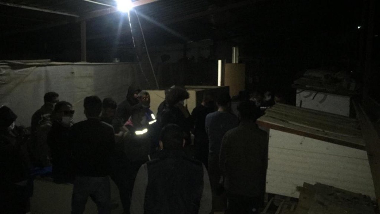 Muğla'da horoz dövüştüren 20 kişiye paraya cezası