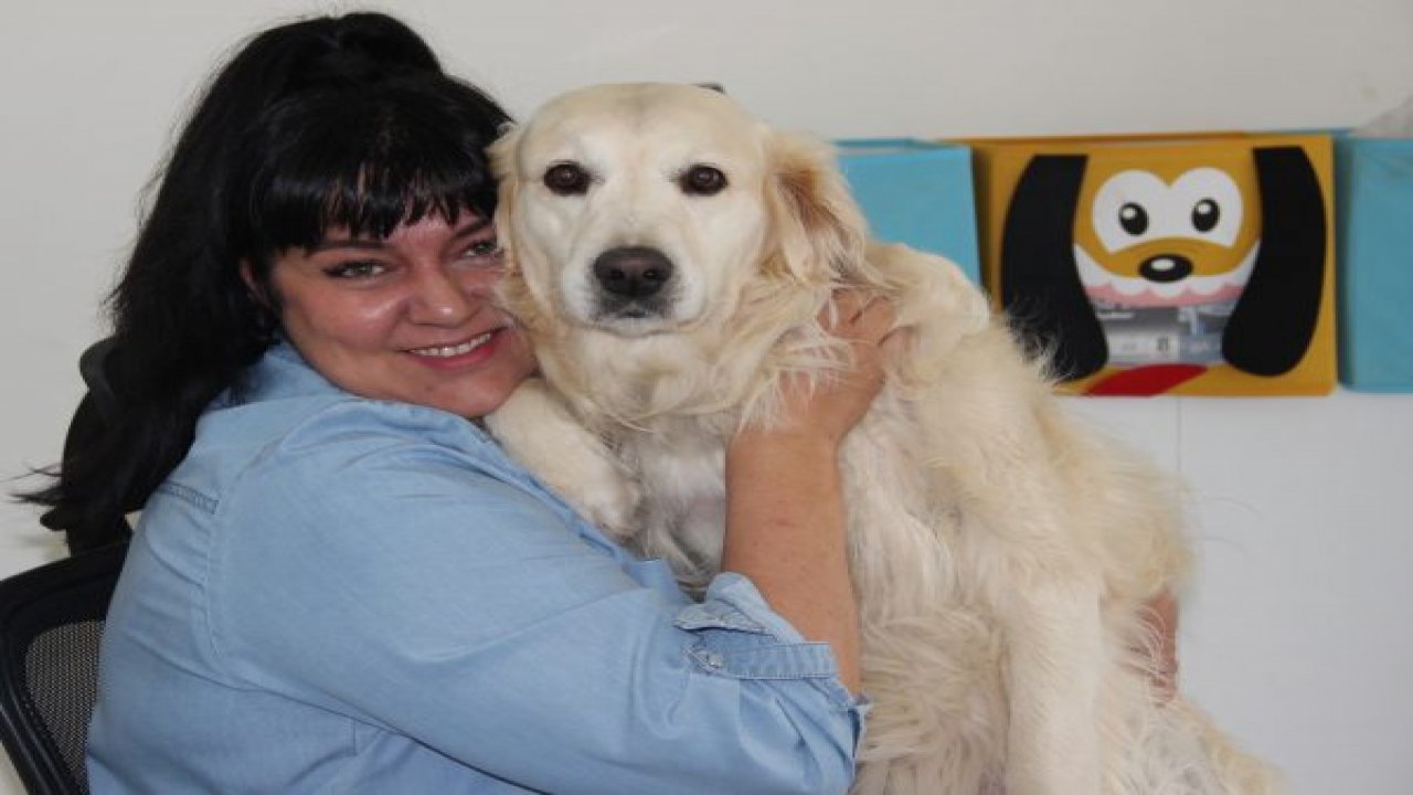 Evcil hayvan besleyenlere müjde