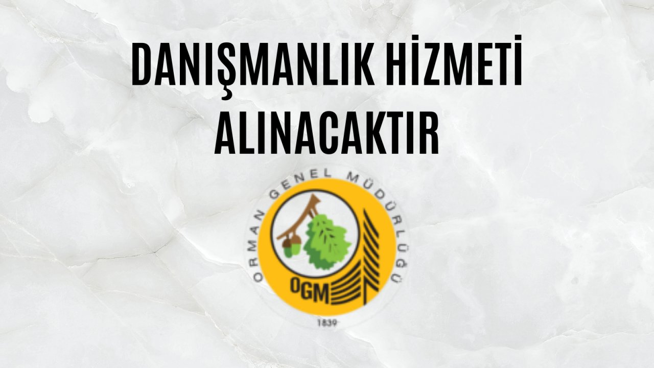 Danışmanlık hizmeti alınacaktır