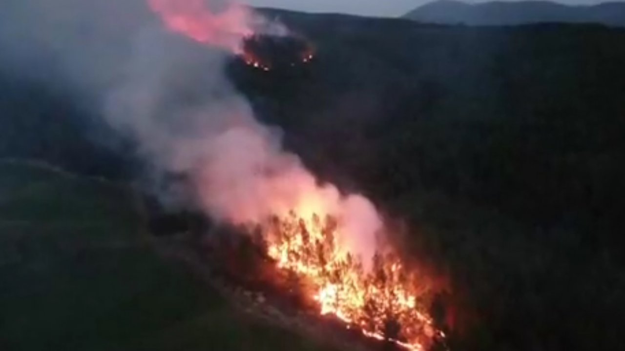 Kavaklıdere'de korkutan yangın