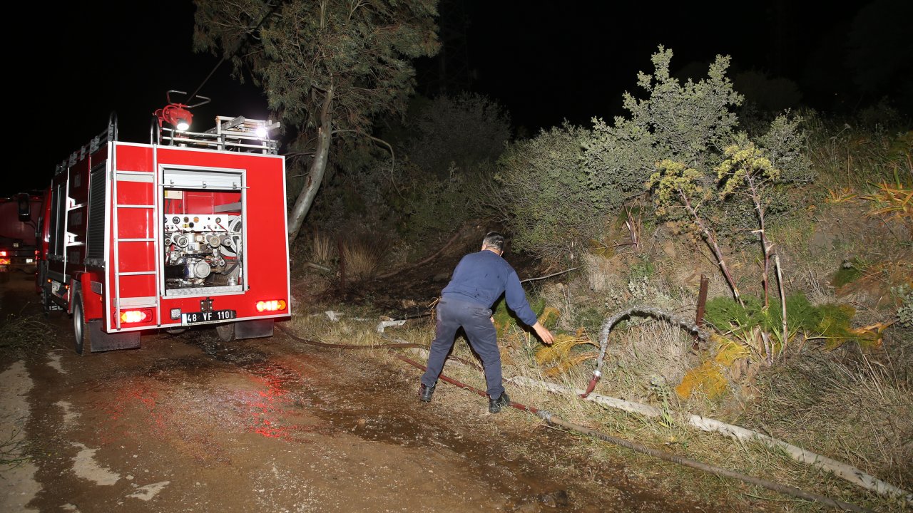 Bodrum'da makilik ve otluk alanda çıkan yangın söndürüldü