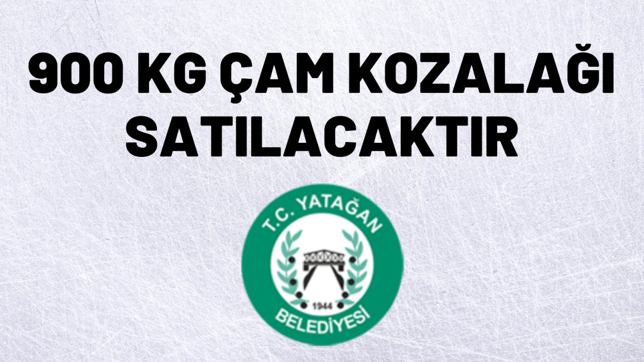 900 kg çam kozalağı satılacaktır