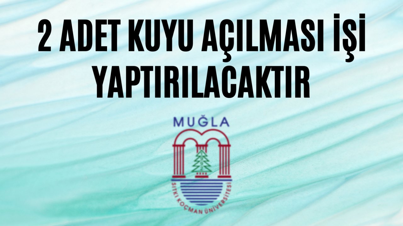 2 adet kuyu açılması işi yaptırılacaktır