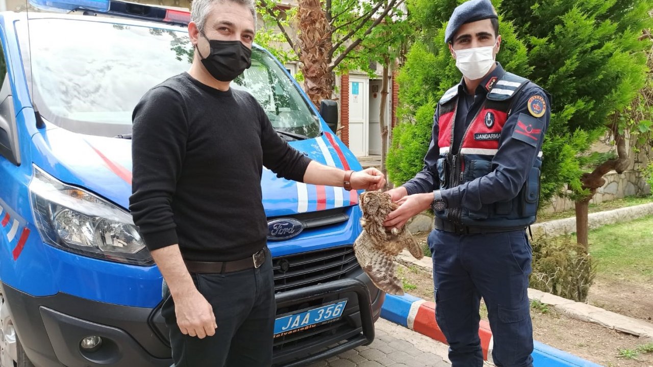 Marmaris'e gelen Danimarkalı turist artacak