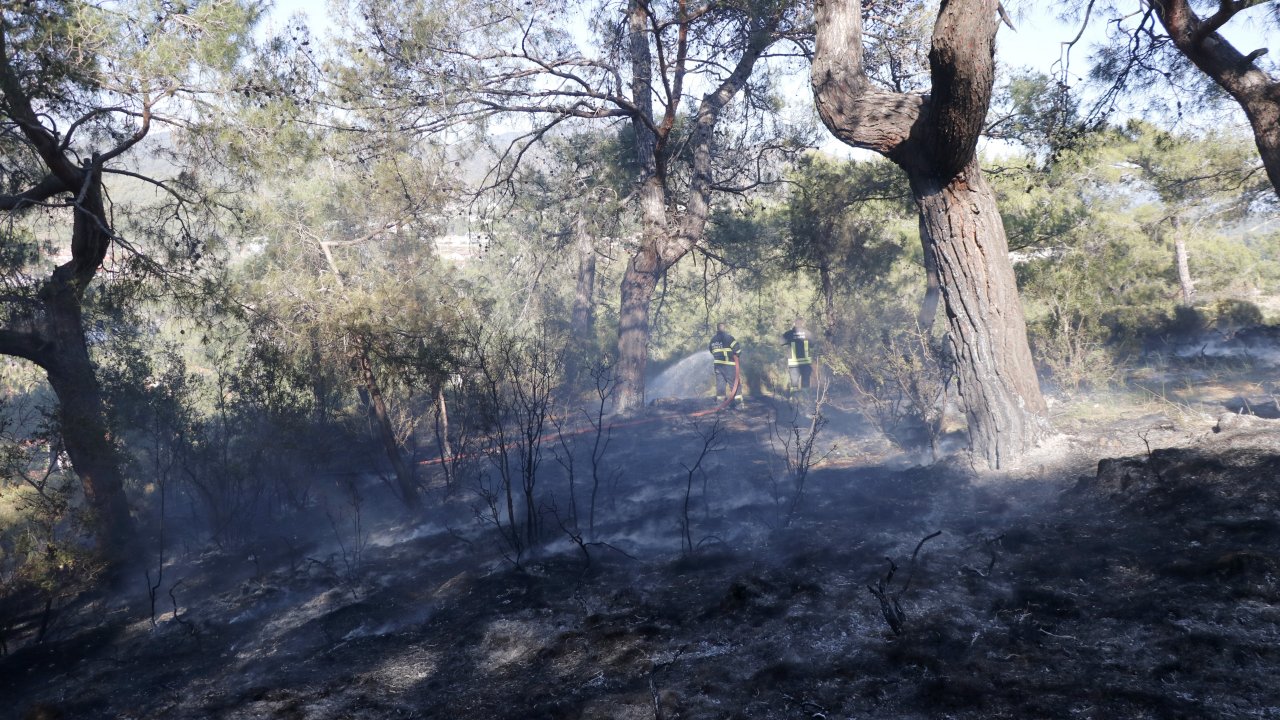 Muğla'da çıkan orman yangın söndürüldü